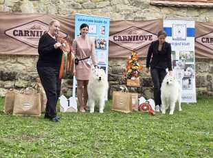 Speciální Výstava Chržín   20250927 2